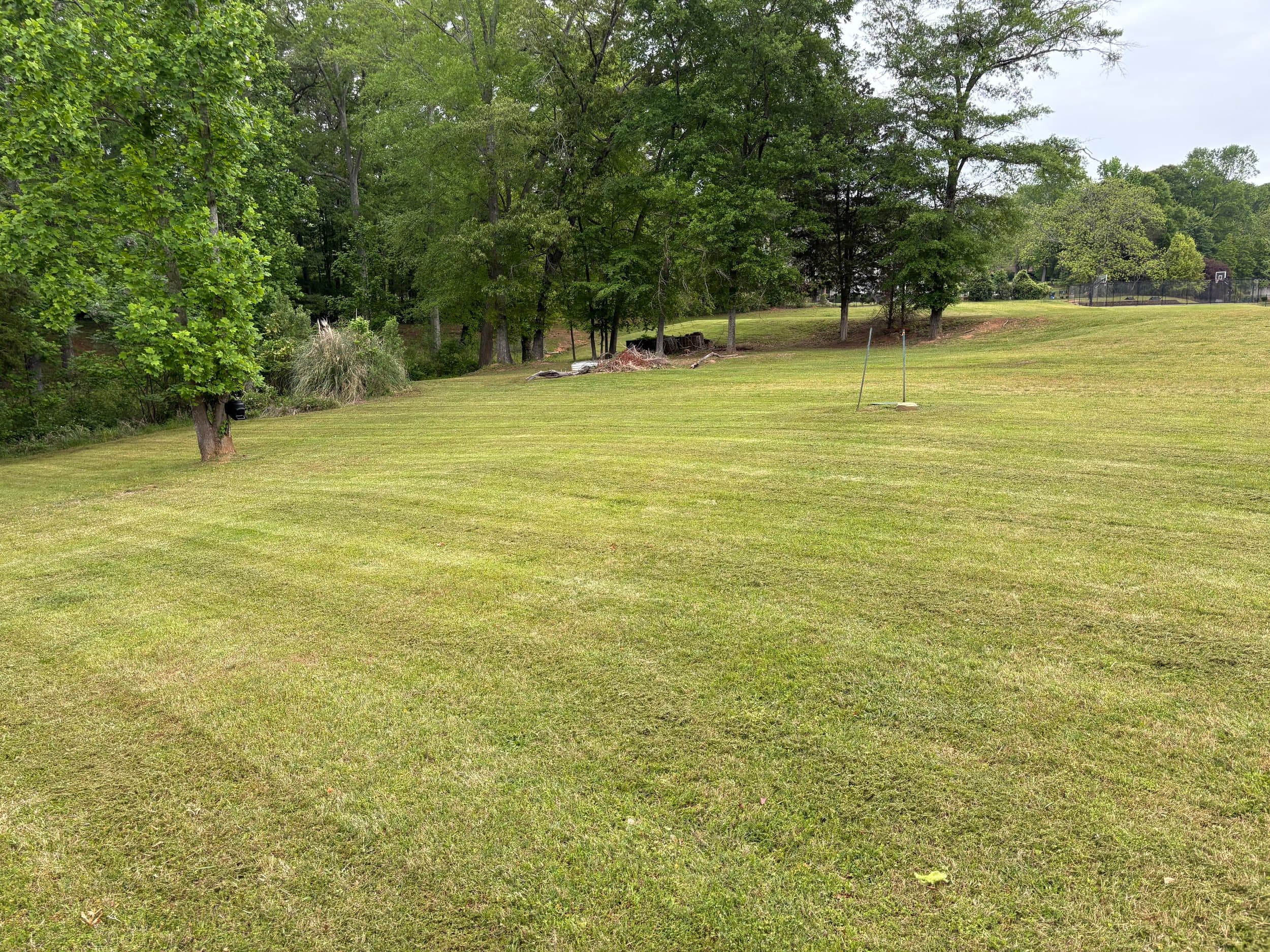 Fall yard cleanup in Georgia