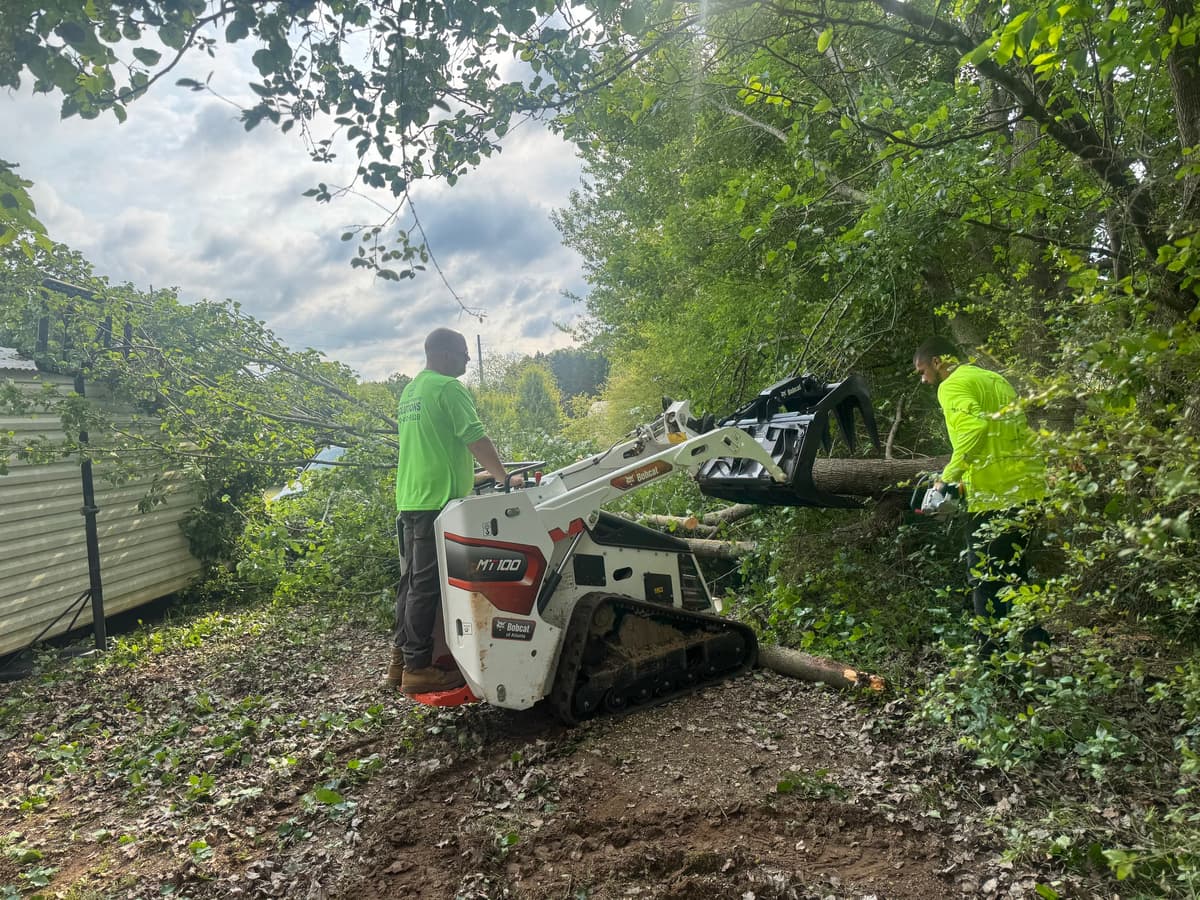 Property Clearing in McDonough