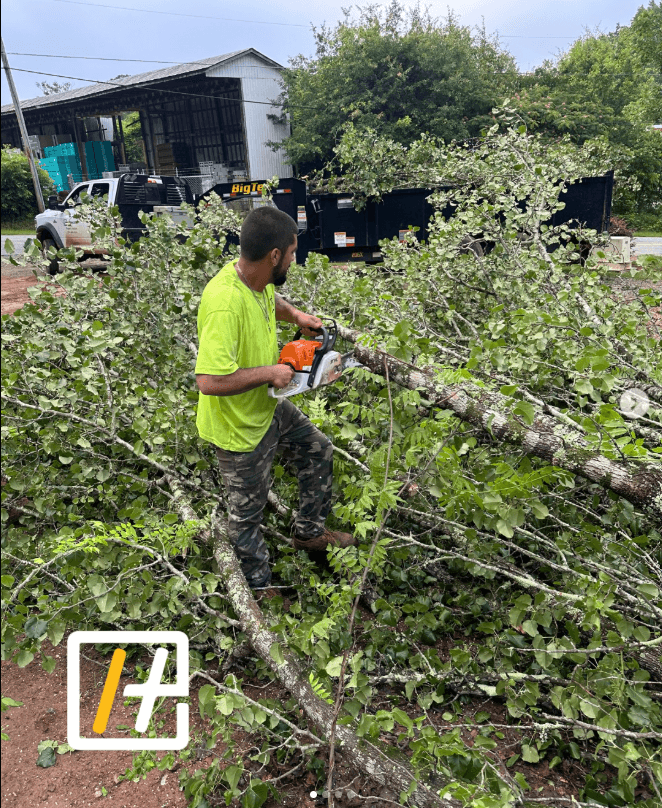 Tree Service services in Jackson, GA