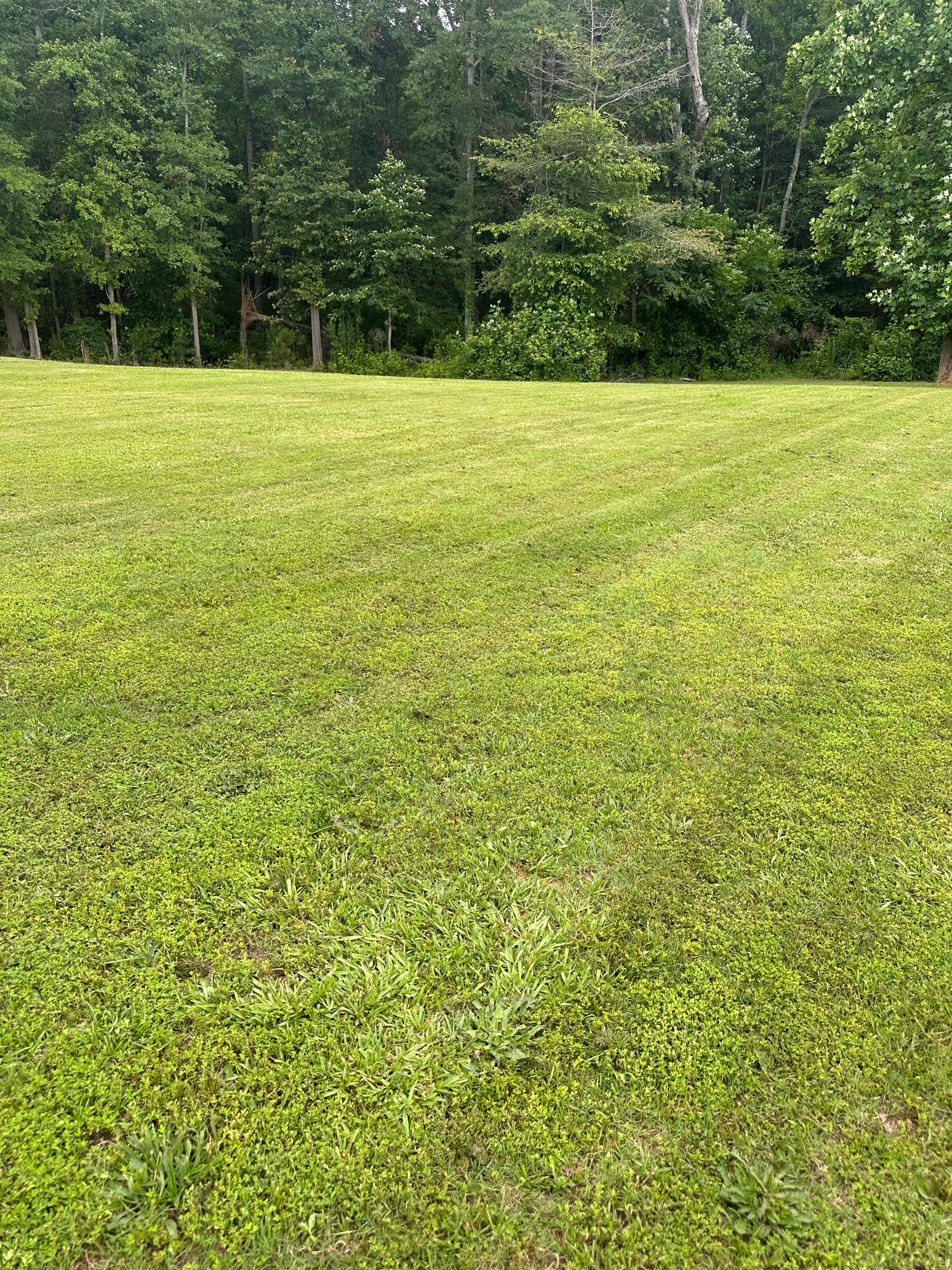Proper irrigation in Georgia summer