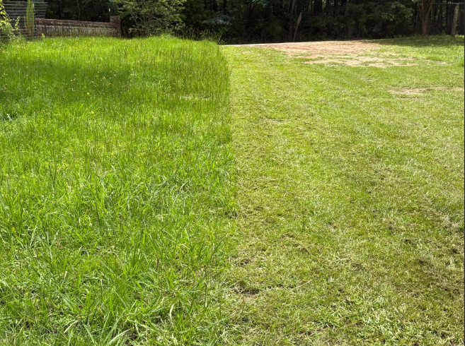 Professional landscaping in Henry County, GA