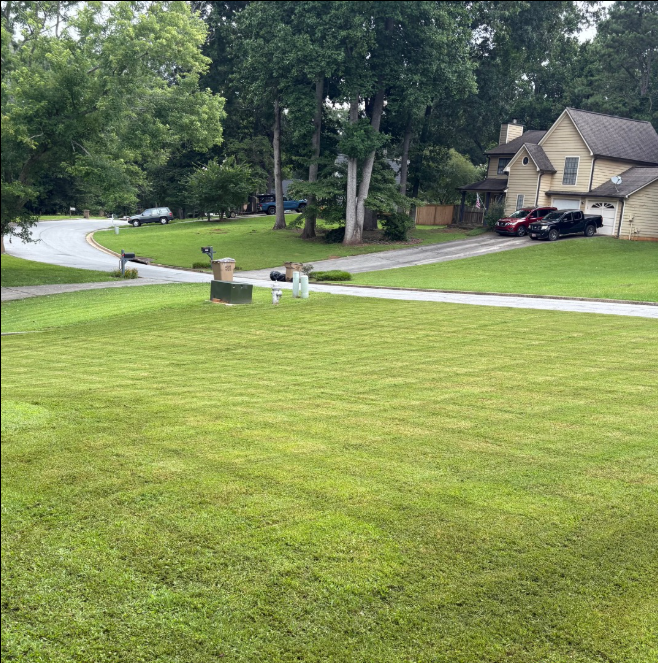 Lawn Care service by Hedgecoth Property Solutions