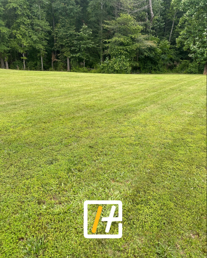 Regular lawn maintenance being performed