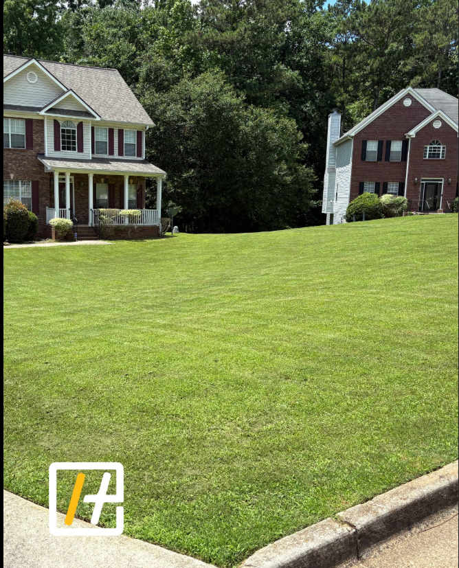 Lawn Care service by Hedgecoth Property Solutions