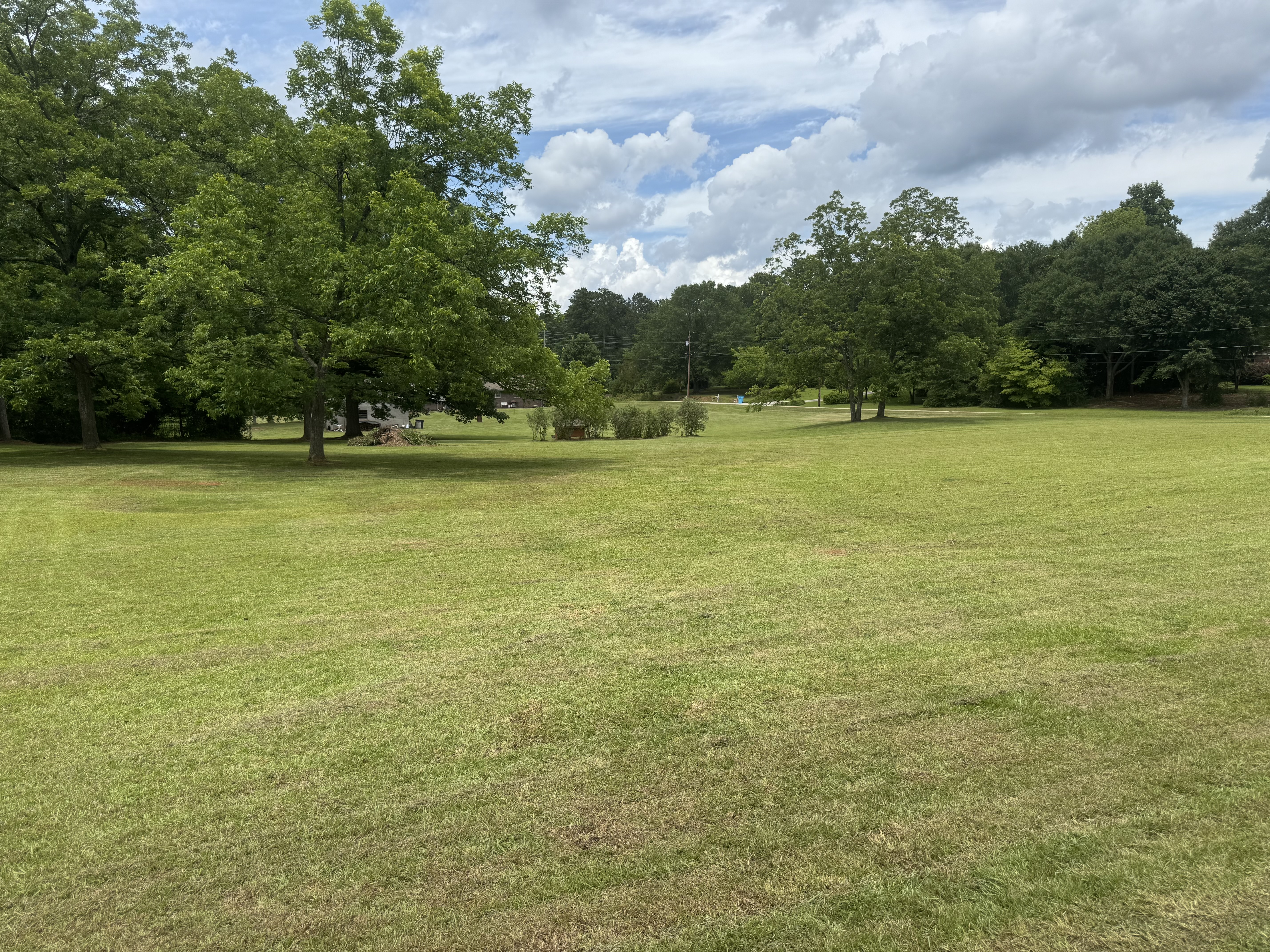 Professional landscaping service in Griffin, GA