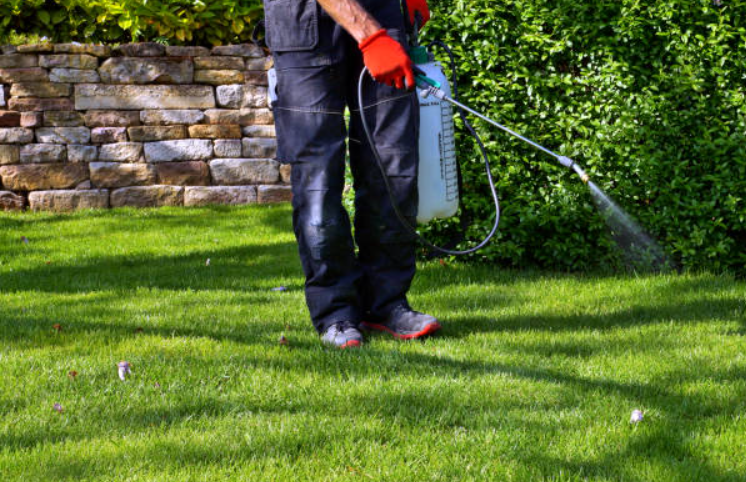 Custom lawn treatment plan diagram
